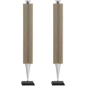 BANG & OLUFSEN Beolab 18 Σύστημα ήχου Ασημί — Εικών №1
