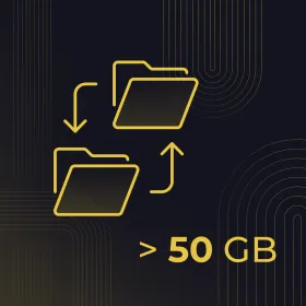 Data transfer (over 50GB) — Image №1