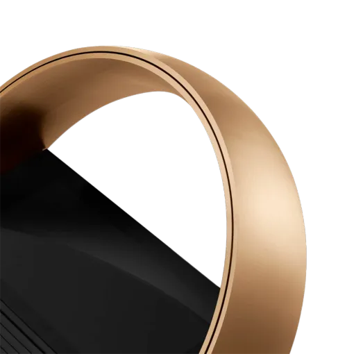 Remote Control BANG & OLUFSEN BeoRemote Halo, Gold — Image №4