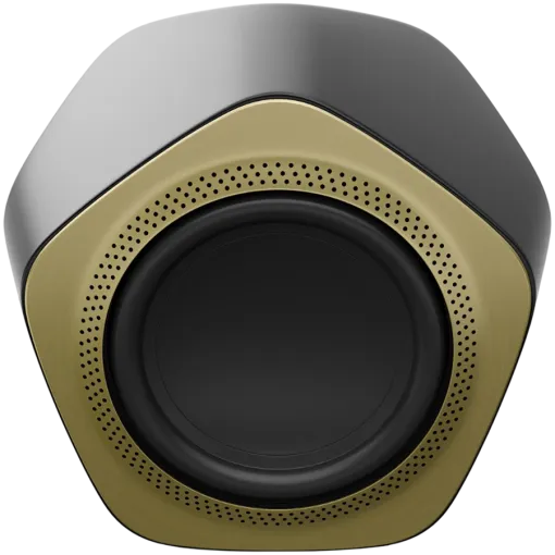 BANG & OLUFSEN Beolab 19 Audio System Black/Brass Tone — Image №2