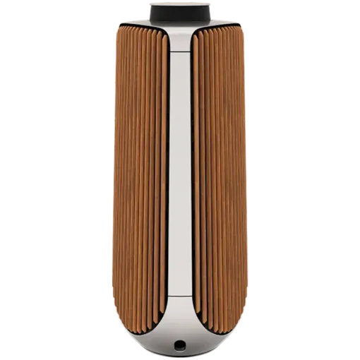 BANG & OLUFSEN Beolab 50 Audio System Silver — Image №1