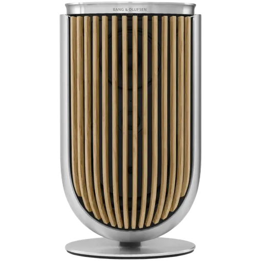 BANG & OLUFSEN Beolab 8 AV System Silver — Image №1 BANG & OLUFSEN Beolab 8 AV System Silver — Image №1