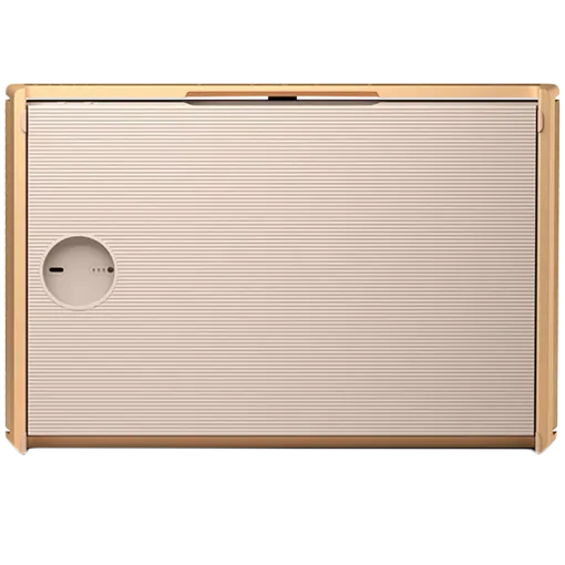 Bang & Olufsen Beosound Level Home Audio System, Gold Tone — Image №4