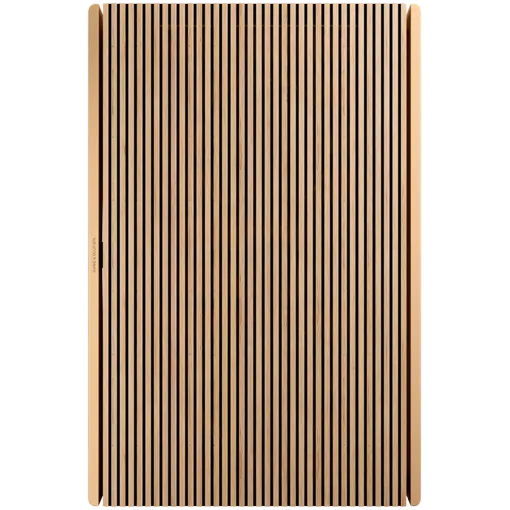 Bang & Olufsen Beosound Level Home Audio System, Gold Tone — Image №2