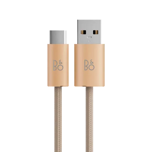 BANG & OLUFSEN  for Beoplay H95, Gold ToneCharging cable — Image №1
