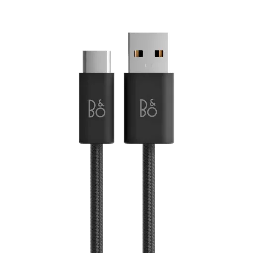 BANG & OLUFSEN  for Beoplay H95, BlackCharging cable — Image №1