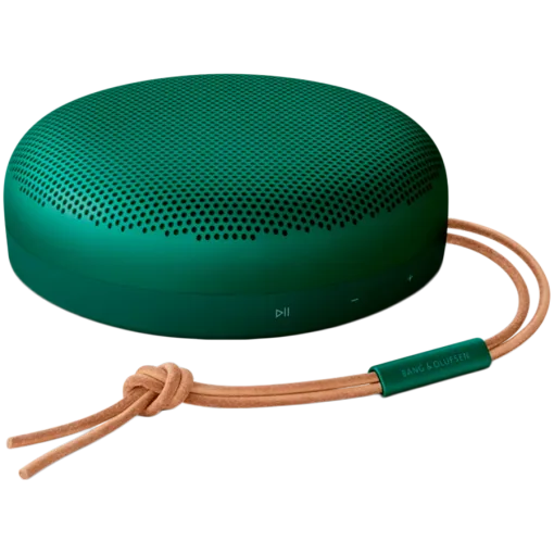 BANG & OLUFSEN Beosound A1 2nd Gen Portable Speaker, Green — image №1
