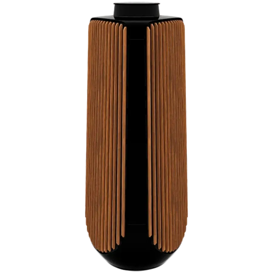 BANG & OLUFSEN Beolab 50 Аудиосистема Piano Black — Изображение №1