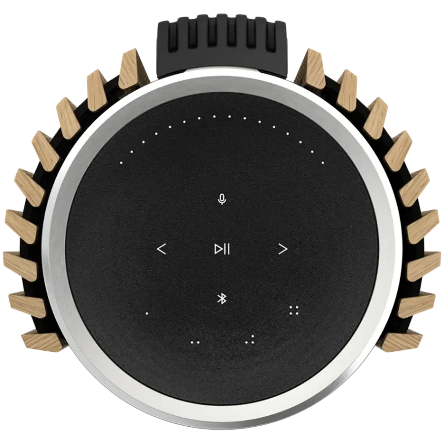 BANG & OLUFSEN Beolab 28 AV-система Серебристо-серый — Изображение №4