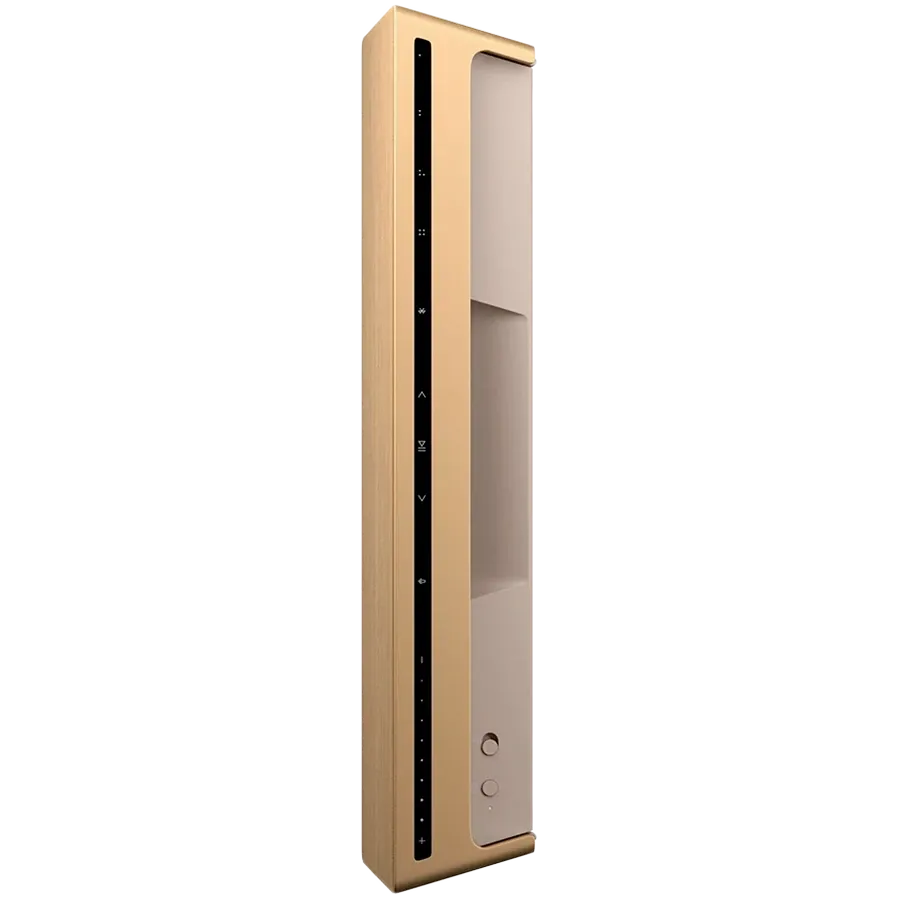 BANG & OLUFSEN Beosound Level Portable Speaker, Gold Tone Aluminium/Light Oak — image №3