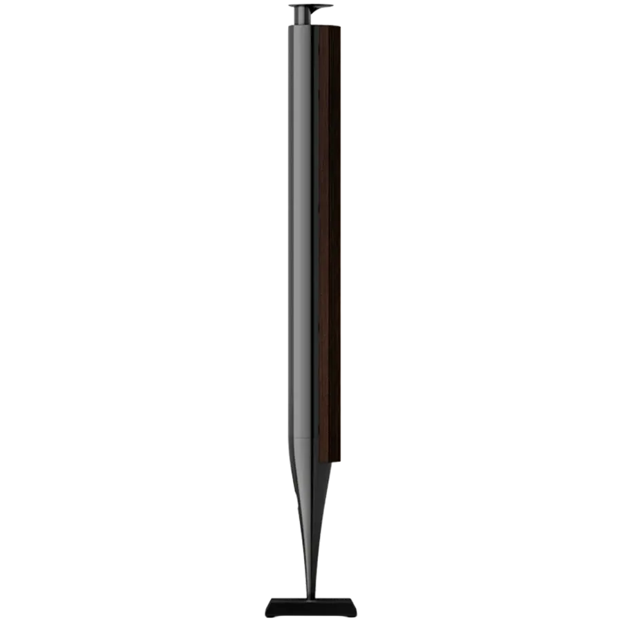 BANG & OLUFSEN Beolab 18 AV System Black Anthracite — Image №3 BANG & OLUFSEN Beolab 18 AV System Black Anthracite — Image №3