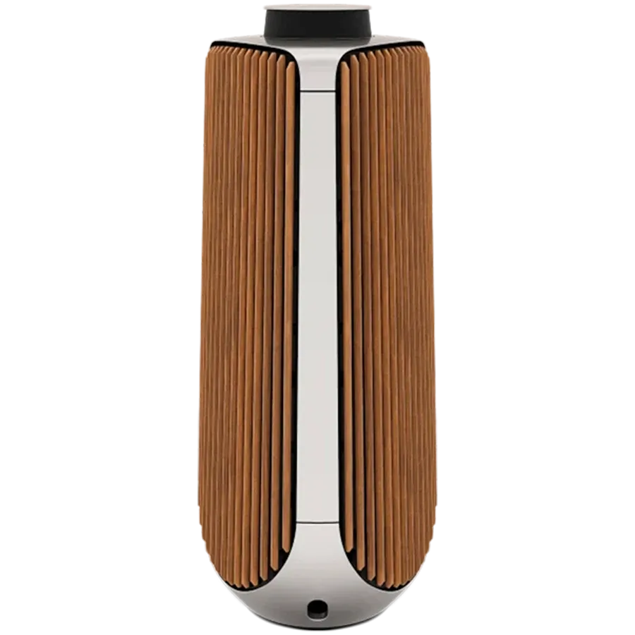 BANG & OLUFSEN Beolab 50 Audio System Silver — Image №1