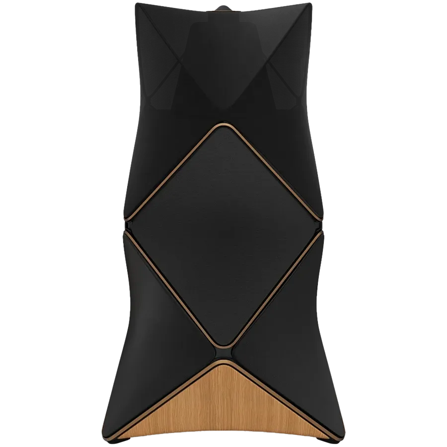 BANG & OLUFSEN Beolab 90 Σύστημα ήχου Χάλκινο/Μαύρο — Εικών №1