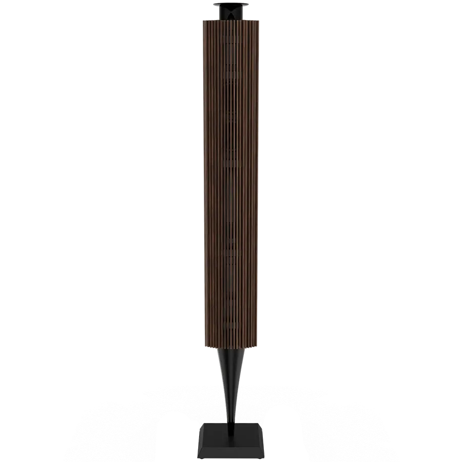 BANG & OLUFSEN Beolab 18 AV-система Черный антрацит — Изображение №1