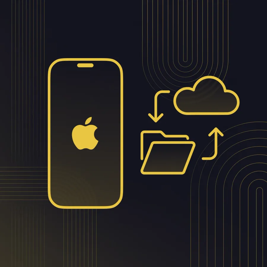 ASBIS iOS Recovery — Image №1