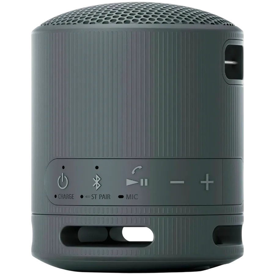 SONY SRS-XB100 Φορητό ηχείο, Μαύρος — Εικών №3