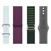 Watch Accessories